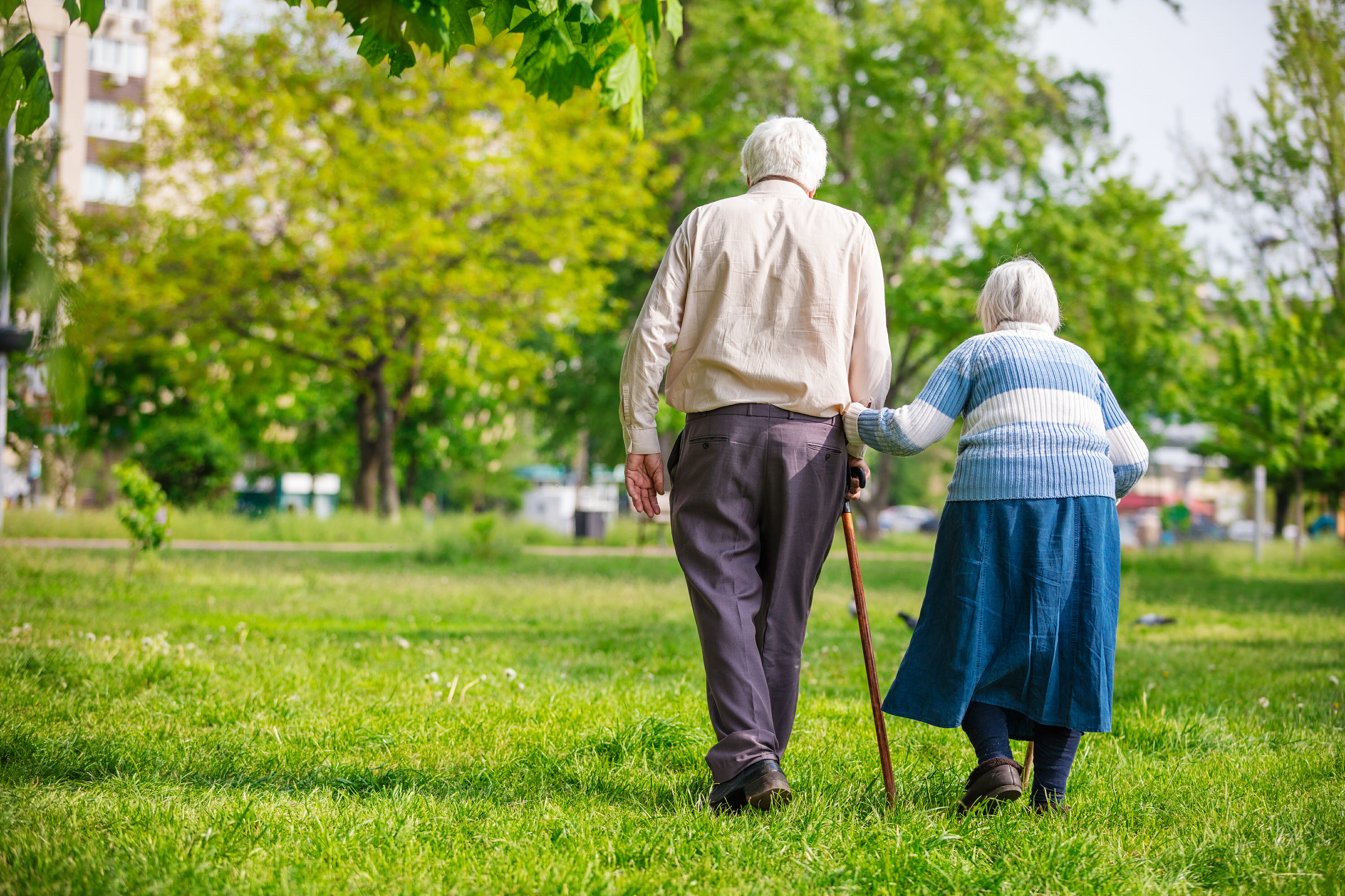 Senior couple walking outdoors in spring
